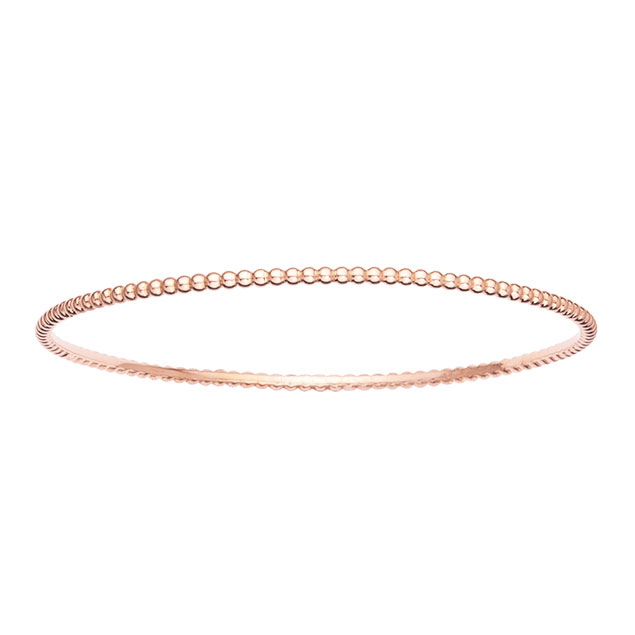 Alpina Seastrong Diver Arkea watch AL-525NARK4AE6B