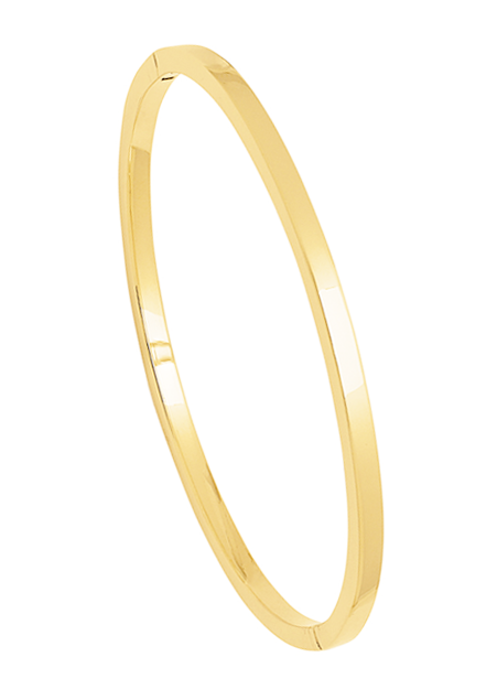 Citizen Attesa Satellite Wave watch CC4067-66E